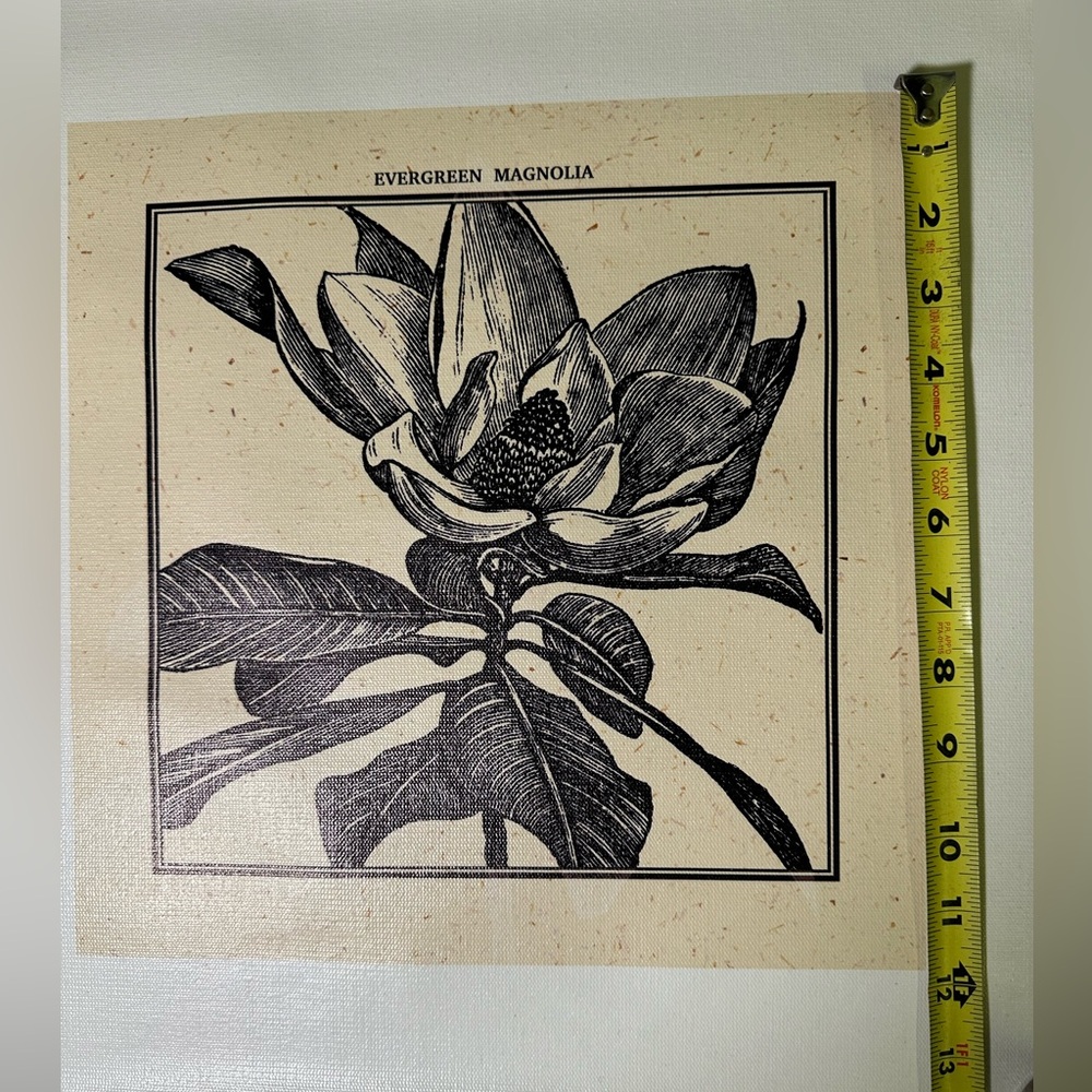 Black and Cream Magnolia Botanical Art Wall Decor